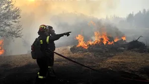 Sute de persoane care erau blocate de incendiile de vegetaţie, salvate la periferia Atenei - VIDEO