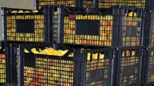 Percheziţii la cinci firme din Argeş şi la persoane suspectate de evaziune fiscală şi cămătărie. Peste o jumătate de tonă de fructe şi legume, confiscate - VIDEO