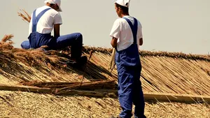 Experienţa Frolu: De la premiul pentru case ridicate cu deţinuţi la ruşinea din satul lui Patzaichin 