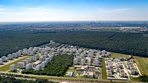 (P) Vara asta arată răcoros şi se simte verde