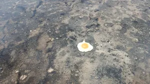 Fenomen inexplicabil: O fermă din Australia ARDE după mai multe săptămâni cu temperaturi extreme. Incendiul nu poate fi stins şi nimeni nu ştie de ce | VIDEO