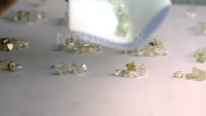 Fetiţă de 12 ani, suspectată că a furat un colier cu diamante în valoare de 4,6 milioane de dolari - VIDEO