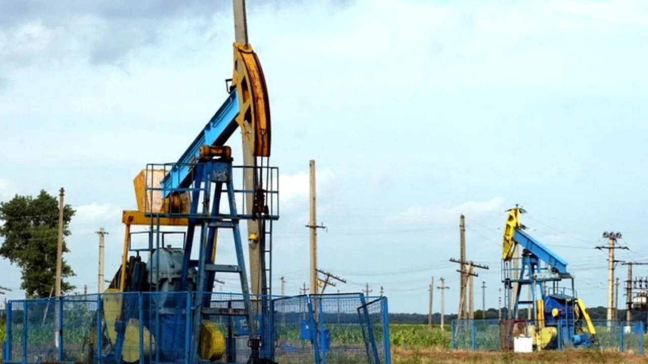 Suprataxarea sectorului de petrol şi gaze pune în pericol viitoarele investiţii în România - patronat