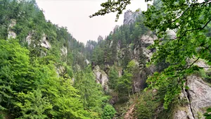 Un turist a murit după ce a căzut într-o râpă din Masivul Bucegi - VIDEO