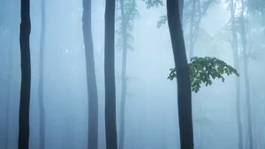 5 mistere pe care ştiinţa nu le poate rezolva