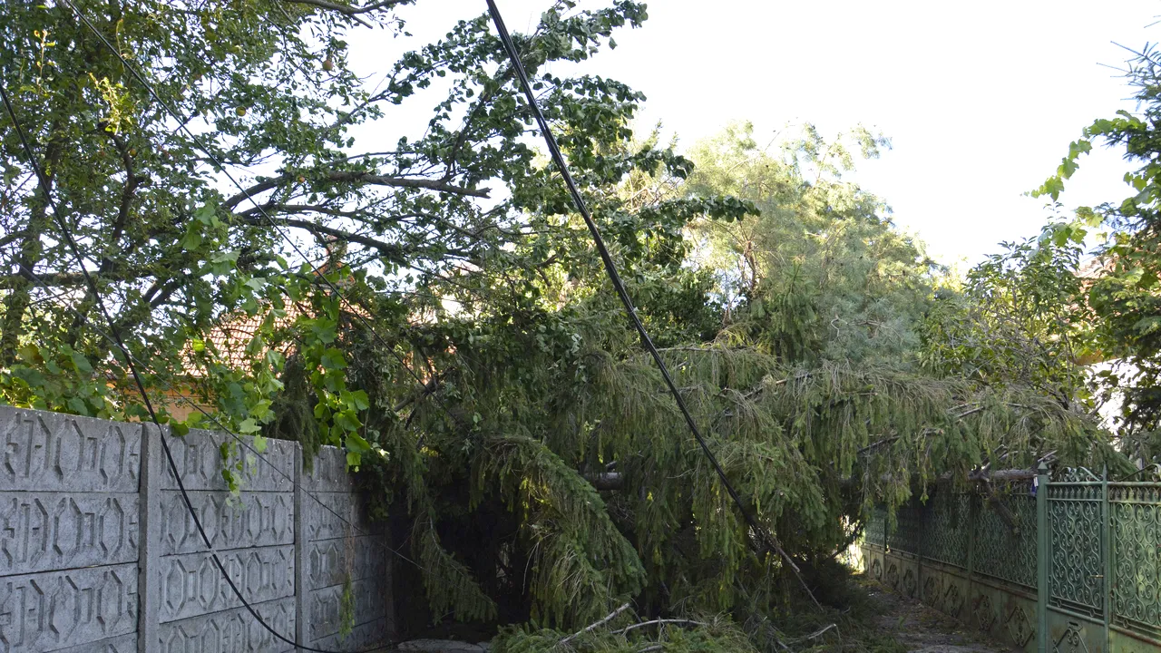 Efectele avertizării METEO Cod roşu: furtunile au doborât zeci de stâlpi şi copaci în Moldova