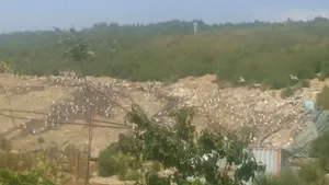 Scandalul gropii de gunoi de la Chiajna. Localnici: Mirosul vine în valuri/ Iridex: Poluarea nu e de la noi. Garda de Mediu anunţă peste 1.000 de plângeri - FOTO, VIDEO