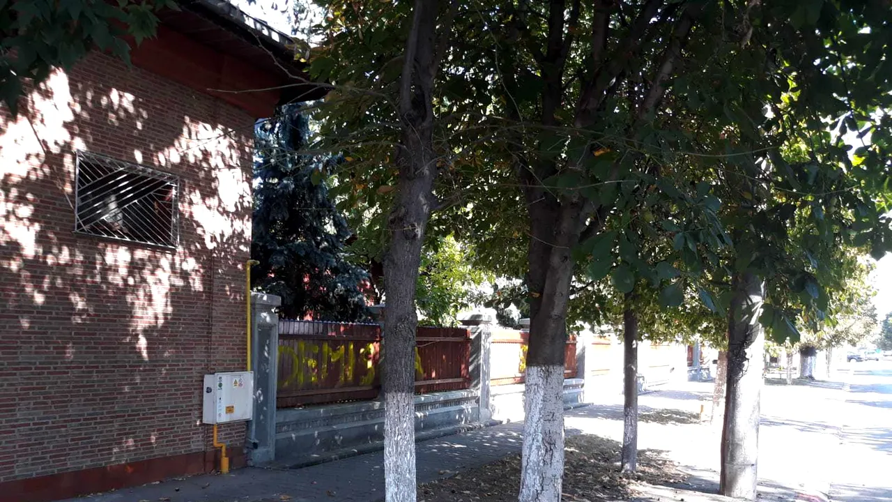 FOTO - MESAJUL care a apărut peste noapte, scris cu vopsea galbenă, pe gardul casei lui Liviu Dragnea, din Alexandria