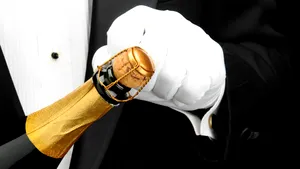 Secretul sordid al şampaniei: migranţii înfometaţi şi fără adăpost care culeg struguri pentru producătorii de vinuri de lux ai Franţei