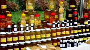 REPORTAJ: Dulceaţă de nuci verzi, soc sau ardei iute, la un festival din Prahova - VIDEO