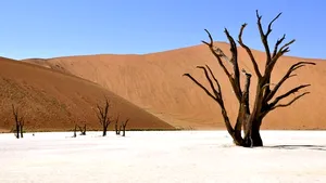 Primul oraş din lume care ar putea rămâne fără apă în mai puţin de patru luni. „Ziua zero” se apropie 