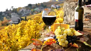 Proprietarii de podgorii şi producătorii de vin pot obţine finanţări pentru construcţia de crame