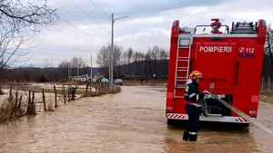 Urmările ploilor abundente: mai multe gospodării inundate şi râul ieşit din matcă, în Dâmboviţa FOTO