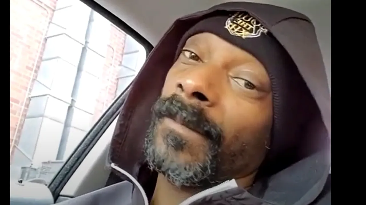 Un videoclip în care Snoop Dog ascultă o melodie din animaţia „Frozen” a devenit viral