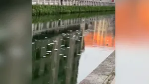 VIDEO | Misterul miilor de bancnote de 100 de euro care au apărut pe un râu din Milano