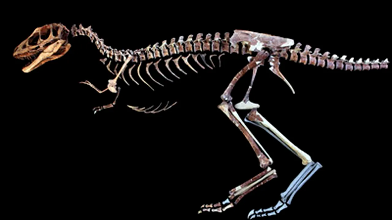 Tiranozaur în miniatură, descoperit în China