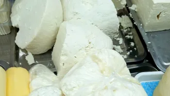 POLITIC Guvernul prelungește plafonarea adaosului comercial la alimentele de bază până la data de 30 iunie