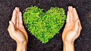 (P) La Forumul de Sustenabilitate 2021 al Coca-Cola HBC Group, GreenPoint Management obtine Premiul de Sustenabilitate