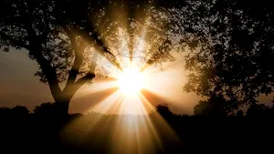 Oamenii de știință au descoperit o nouă metodă eficientă de a transforma lumina solară în combustibil