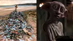 Fanii Harry Potter au deviat o conductă de milioane de lire, pentru a proteja „mormântul” lui Dobby