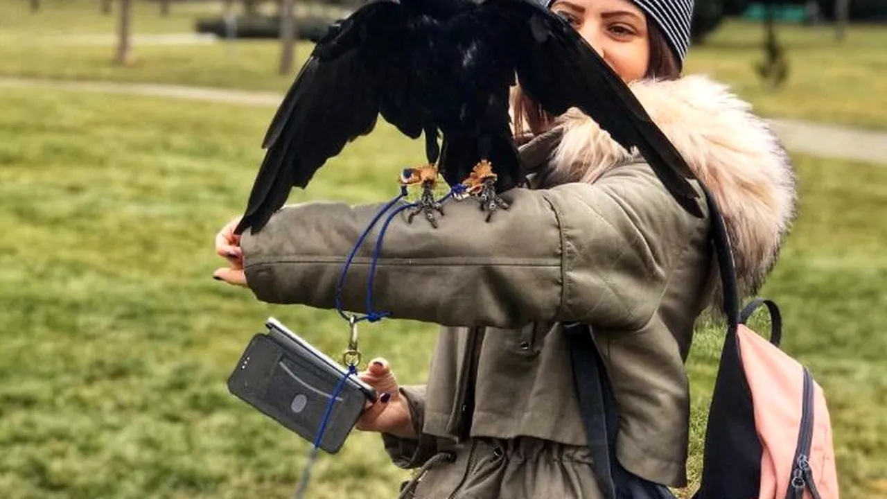 Cioara Cronco, animalul de companie al unui cuplu din Gorj: Are dormitorul ei şi o lesă specială - FOTO şi VIDEO