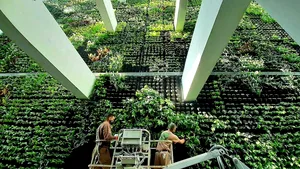 O fabrică de tutun a devenit cea mai mare grădină verticală indoor din Europa