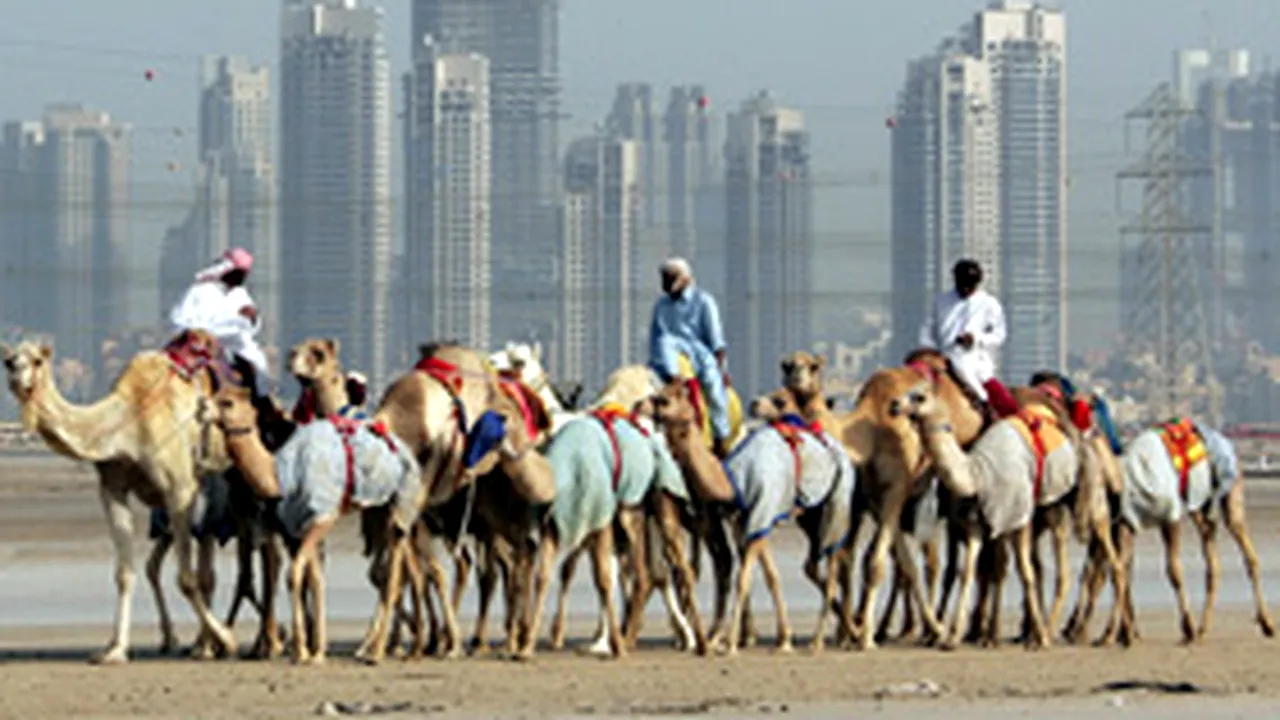 Dubai: Prinţul moştenitor a plătit 2,7 milioane de dolari pentru o cămilă
