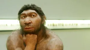 STUDIU: Omul modern a pierdut 20% din densitatea osoasă de când a început să practice agricultura