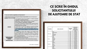 Analiză Frames. Cine şi cum decide acordarea ajutoarelor de stat.