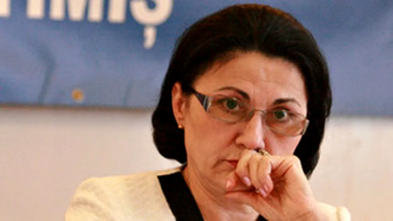 Andronescu:Voi prezenta proiectul privind 