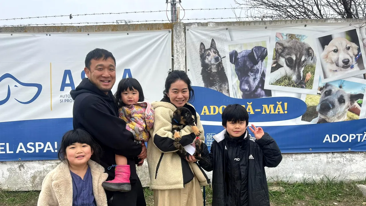 Nicuşor Dan: O familie de japonezi a adoptat un pui de căţel din adăpostul ASPA Bragadiru