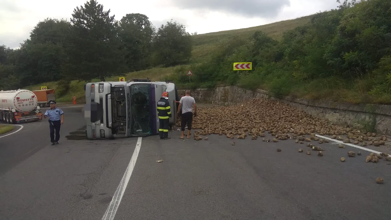 FOTO: O porţiune din DN13 s-a transformat în „cultură” de sfeclă de zahăr, după ce un TIR s-a răsturnat pe marginea drumului