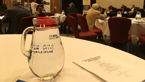 Capitalele din Uniunea Europeană îşi reabilitează infrastructurile de apă. Provocări similare la Bucureşti şi Viena