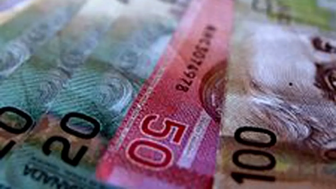 O româncă a pledat vinovată de furt, fraudă şi complot în Canada. Cum a furat peste 100.000 de euro de la bătrâni