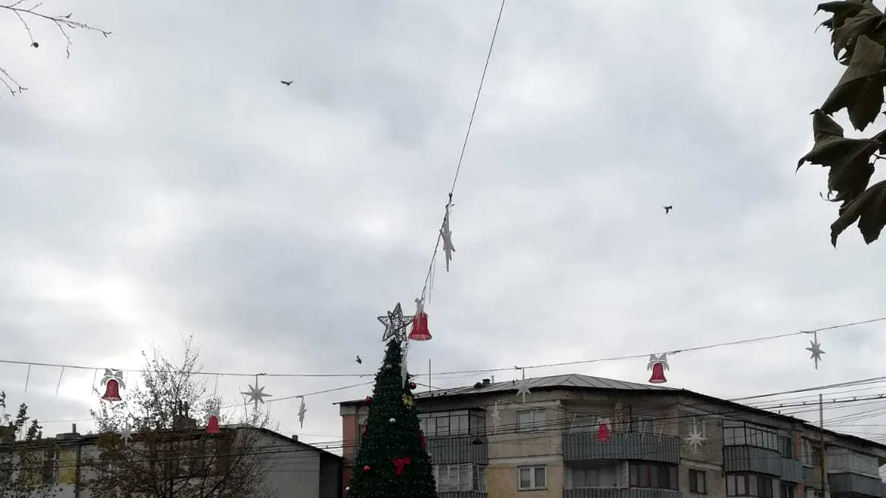 Iniţiativă neobişnuită | Autorităţile din Bârlad cer localnicilor să doneze brad de Crăciun oraşului: De ce să cheltuim de la bugetul local