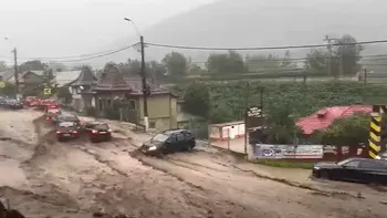 FOTO&VIDEO Viitură puternică la Bușteni. Mașini luate de ape după o rupere de nori / 22 de gospodării inundate / Raed Arafat: Recomandările RO-Alert să fie respectate
