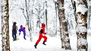 Cum va fi vremea în această iarnă. PROGNOZA METEO până în luna februarie. HARTA meteorologilor