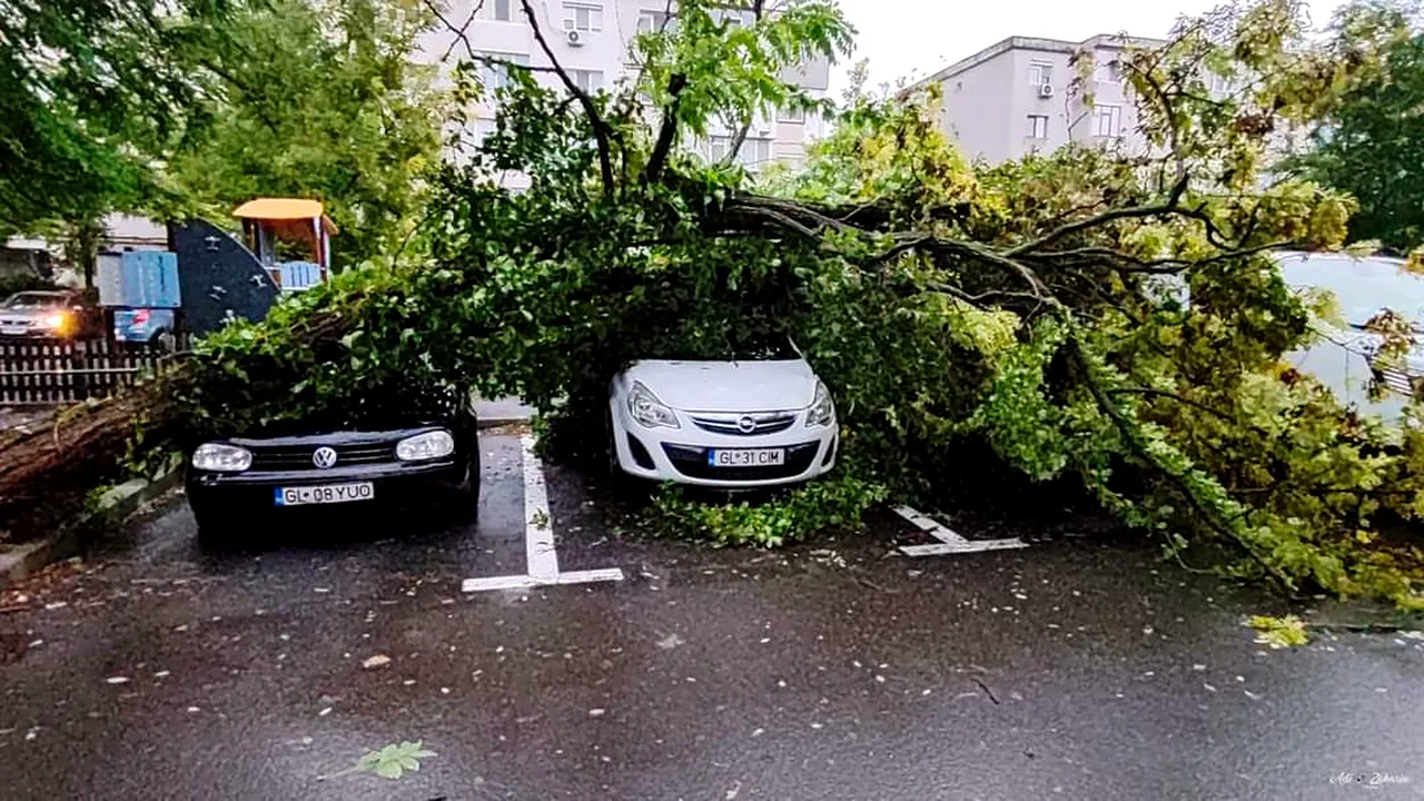 Copac căzut peste maşini şi curţi inundate în Galaţi, în urma ploilor