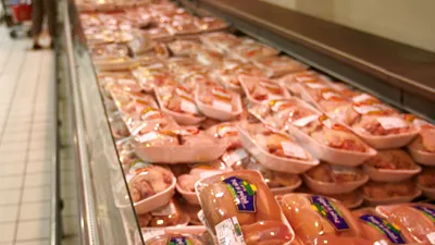 SOCIAL 80% din primul lot de pui brazilian importat în UE prin acordul Mercosur, contaminat cu Salmonella