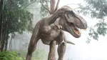 Nu asteroidul ar fi fost cauza dispariției tuturor dinozaurilor. Ce arată ultimele teste pe fosilele acestora