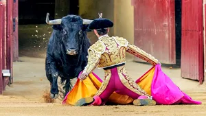 Tragedie în Spania: Fost toreador, ucis de un taur în culisele arenei din Málaga