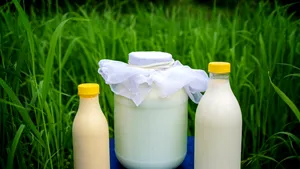 Adevărul despre chefir: este cu adevărat mai bun decât iaurtul pentru sănătatea noastră intestinală?