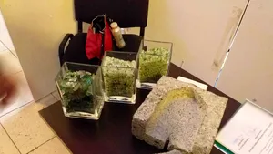 Un angajat din Tulcea a inventat cărămida ecologică din granule de sticlă reciclată. Care sunt avantajele