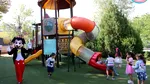 Grădinița Prietenii Mei dă startul înscrierilor pentru „Grădinița de Vară” și oferă 5 burse sociale pentru anul școlar 2026–2027
