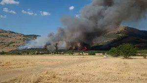Incendiu mare de vegetație în Tulcea. Echipajele continuă stingerea