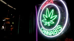 Semnal de alarmă tras de medici asupra prescripțiilor medicale „excesive” de marijuana