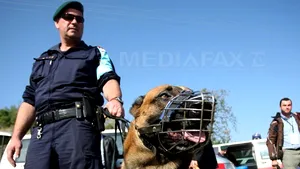 Grecia denunţă ipocrizia ţărilor UE care critică planul de securizare a graniţei cu Turcia