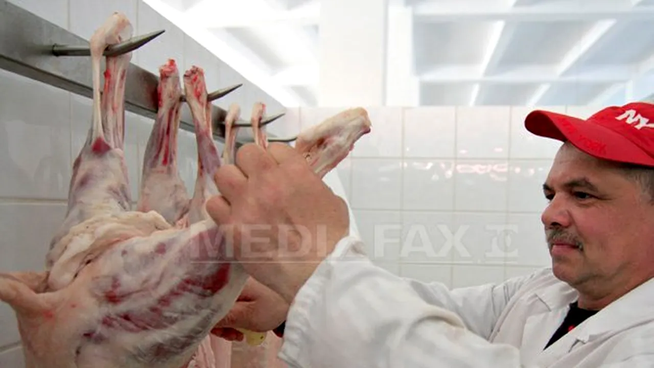 REPORTAJ: Cât costă carnea de miel în pieţele şi magazinele din Bucureşti şi din ţară