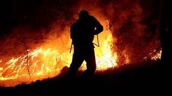 România sub flăcări. Incendii în lanţ pe fondul caniculei: peste 350 de hectare arse în mai multe judeţe