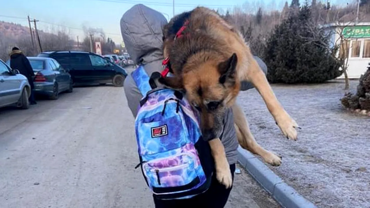 O femeie a călătorit 17 kilometri cu câinele său bătrân pe umăr: „Nu l-am putut abandona”